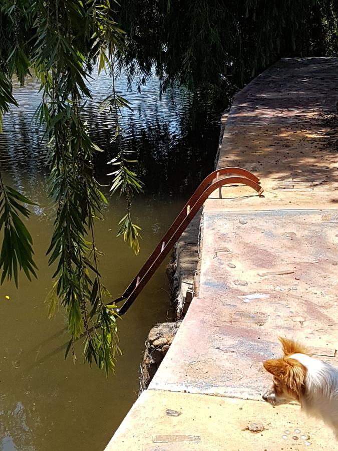 Thandamanzi Self Catering Sabie Buitenkant foto