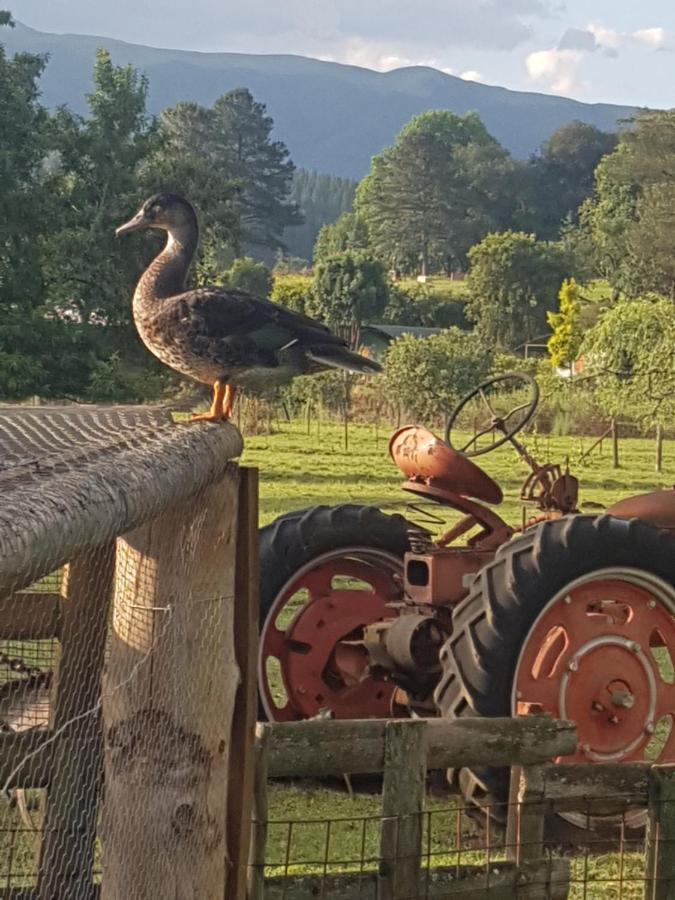 Thandamanzi Self Catering Sabie Buitenkant foto